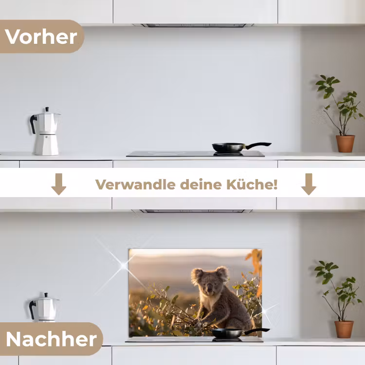 Koala - Bladeren - Ochtendlicht keuken achterwand spatscherm klein -voor_na_DE