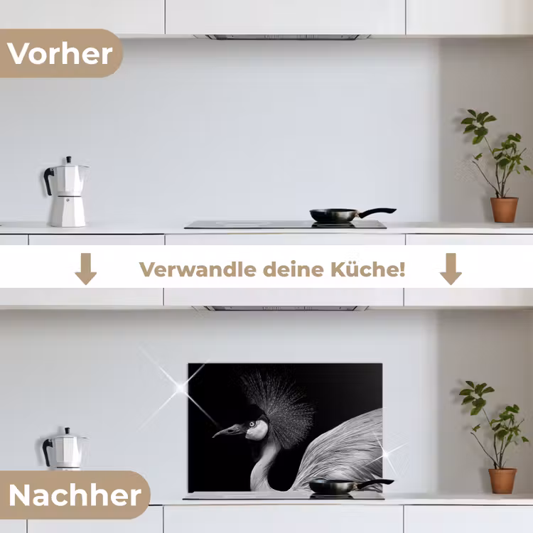 Kraanvogel - Zwart - Wit - Vogel - Dieren keuken achterwand spatscherm klein -voor_na_DE