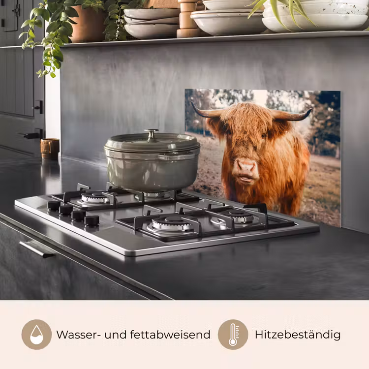 Koe- Schotse hooglander - Hoorns - Bruin - Landschap keuken achterwand spatscherm klein -usp_DE