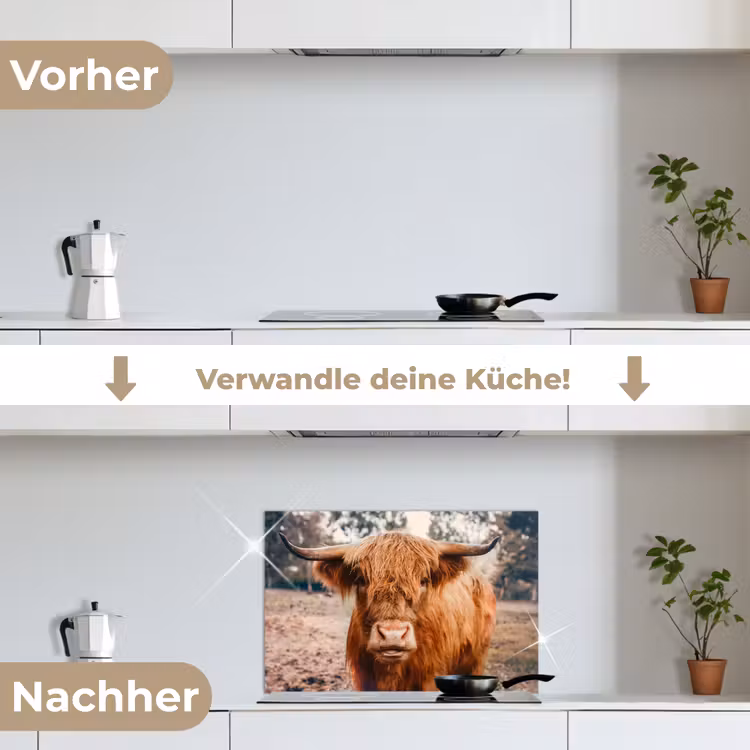 Koe- Schotse hooglander - Hoorns - Bruin - Landschap keuken achterwand spatscherm klein -voor_na_DE
