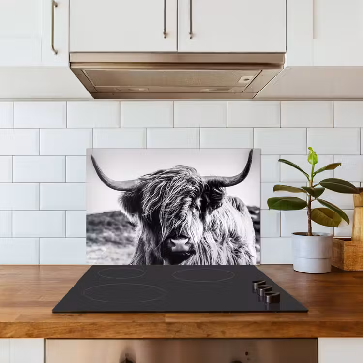 Koe - Schotse hooglander - Zwart - Wit - Dier - Natuur - Wild keuken achterwand spatscherm klein -sfeer2