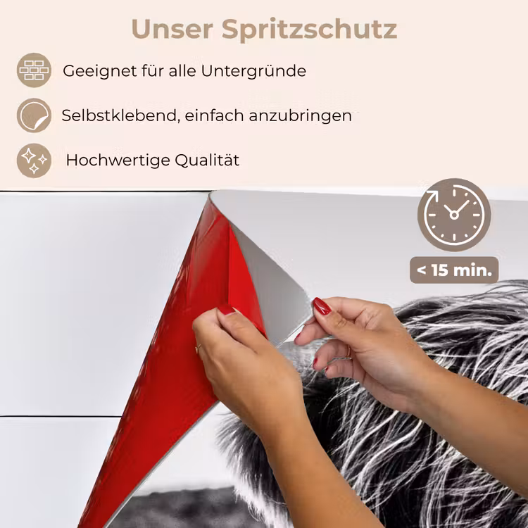 Koe - Schotse hooglander - Zwart - Wit - Dier - Natuur - Wild keuken achterwand spatscherm klein -spatscherm_DE