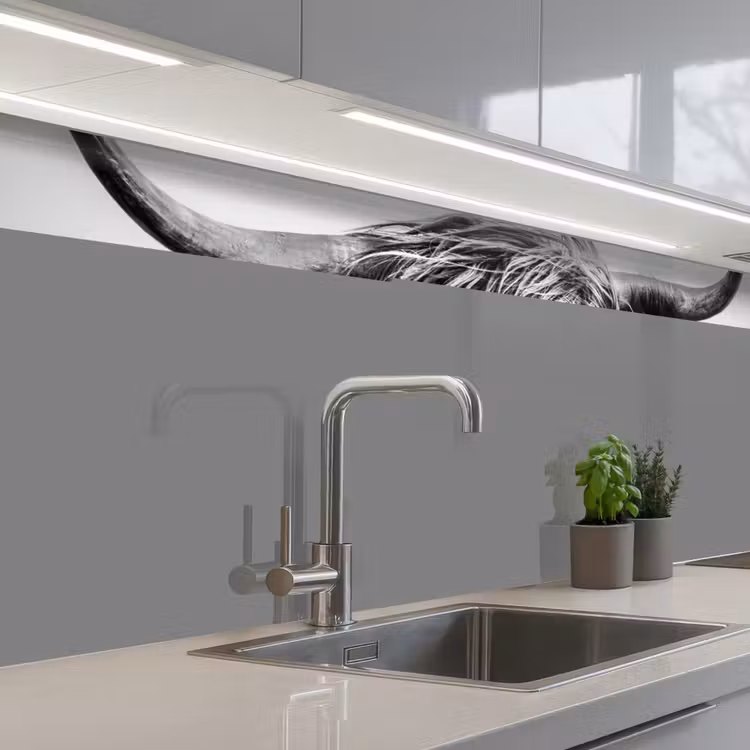 Koe - Schotse hooglander - Zwart - Wit - Dier - Natuur - Wild keuken achterwand 2 middel -3d_schuin