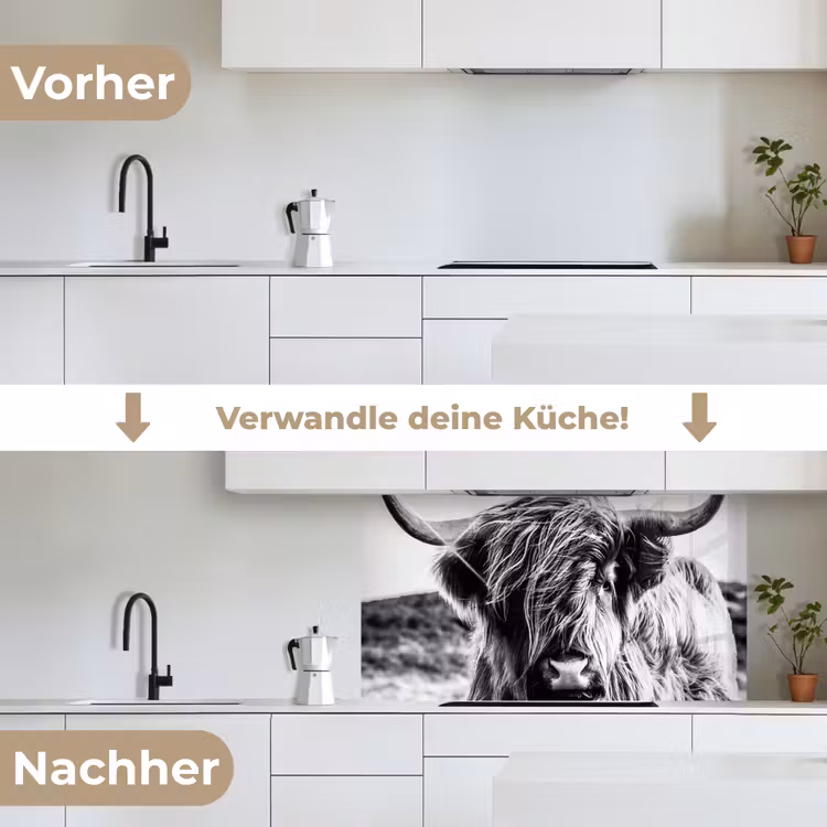 Koe - Schotse hooglander - Zwart - Wit - Dier - Natuur - Wild keuken achterwand 2 middel -voor-na_DE
