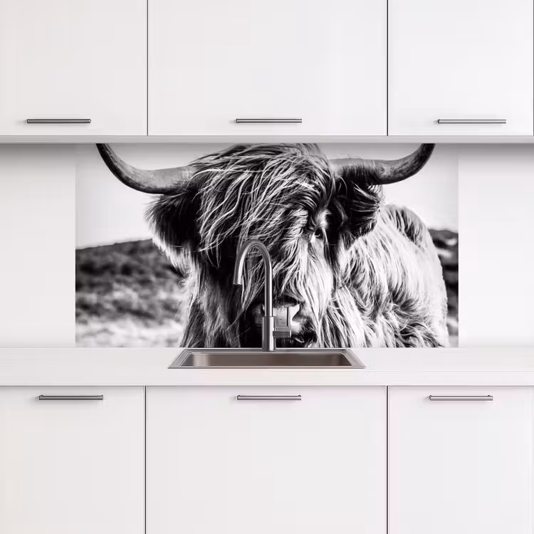 Koe - Schotse hooglander - Zwart - Wit - Dier - Natuur - Wild keuken achterwand 2 middel -3d