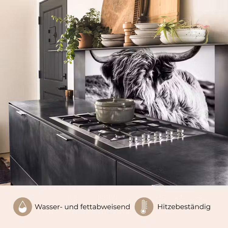 Koe - Schotse hooglander - Zwart - Wit - Dier - Natuur - Wild keuken achterwand 2 middel -usp_DE