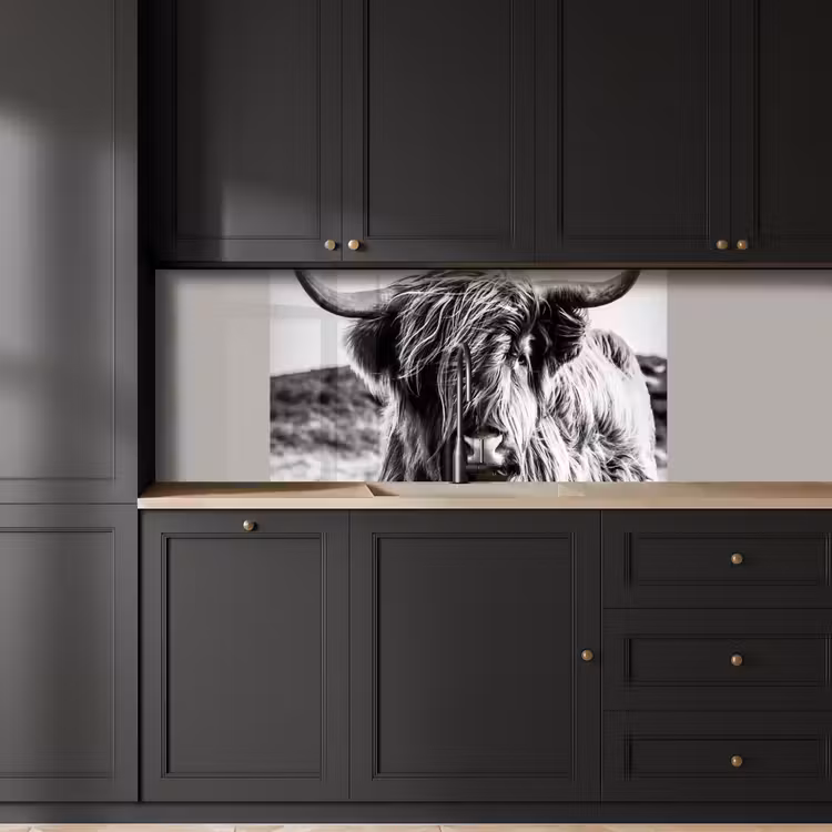 Koe - Schotse hooglander - Zwart - Wit - Dier - Natuur - Wild keuken achterwand 2 middel -sfeer1