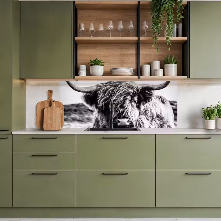 Koe - Schotse hooglander - Zwart - Wit - Dier - Natuur - Wild keuken achterwand 2 middel -sfeer3