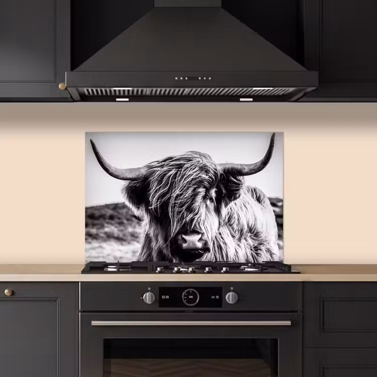 Koe - Schotse hooglander - Zwart - Wit - Dier - Natuur - Wild keuken achterwand spatscherm klein -sfeer1