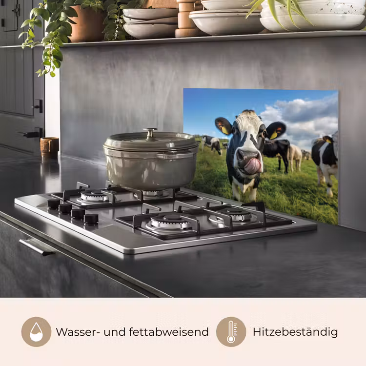 Koe - Tong - Weide keuken achterwand spatscherm klein -usp_DE