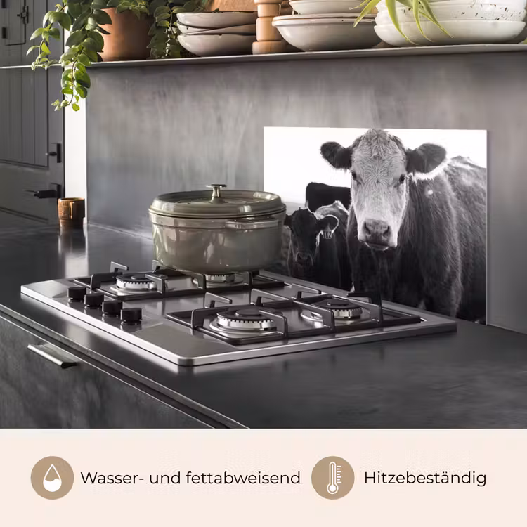Koeien - Zwart - Wit keuken achterwand spatscherm klein -usp_DE