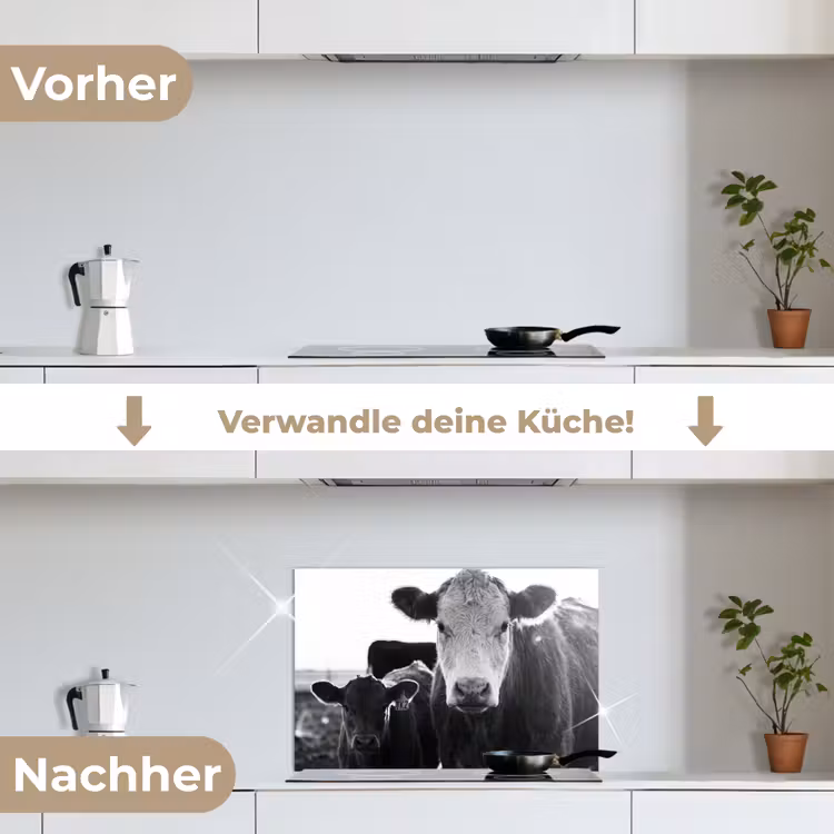 Koeien - Zwart - Wit keuken achterwand spatscherm klein -voor_na_DE