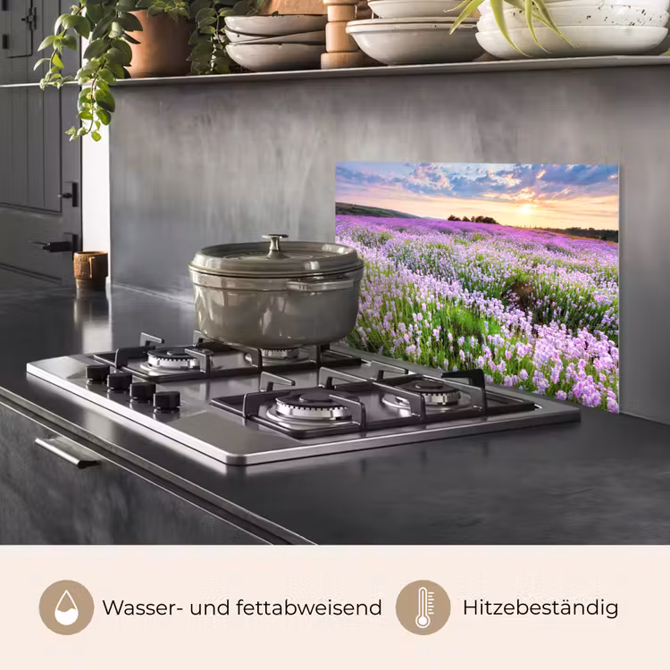 Lavendel - Bloemen - Zonsondergang - Paars - Weide keuken achterwand spatscherm klein -usp_DE