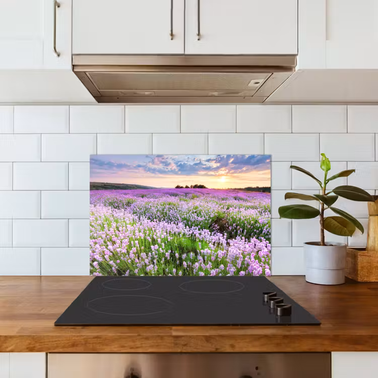 Lavendel - Bloemen - Zonsondergang - Paars - Weide keuken achterwand spatscherm klein -sfeer2