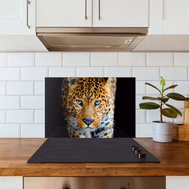 Luipaard - Dieren - Portret - Wilde dieren - Zwart keuken achterwand spatscherm klein -sfeer2