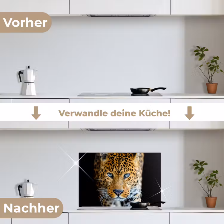Luipaard - Dieren - Portret - Wilde dieren - Zwart keuken achterwand spatscherm klein -voor_na_DE