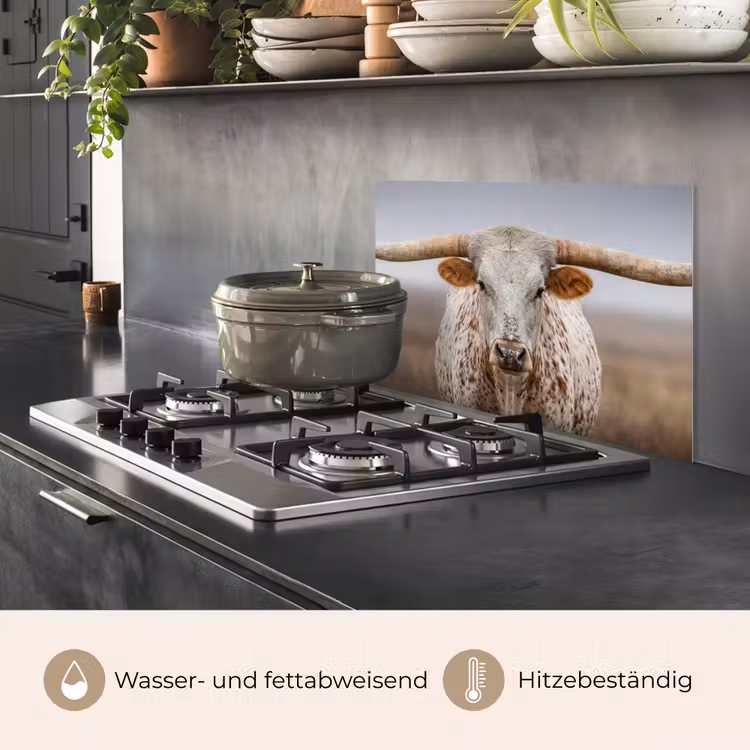 Longhorn - Grasveld - Dier keuken achterwand spatscherm klein -usp_DE