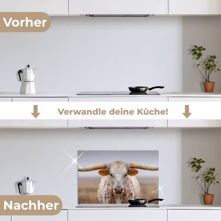 Longhorn - Grasveld - Dier keuken achterwand spatscherm klein -voor_na_DE