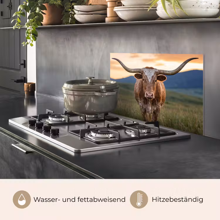 Longhorn - Landschap - Zonsondergang keuken achterwand spatscherm klein -usp_DE