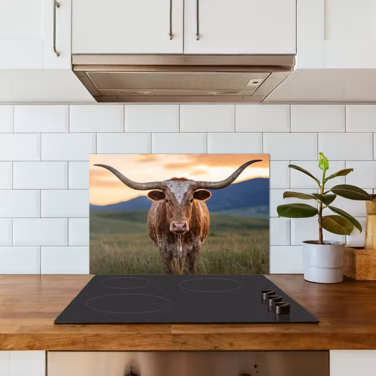 Longhorn - Landschap - Zonsondergang keuken achterwand spatscherm klein -sfeer2