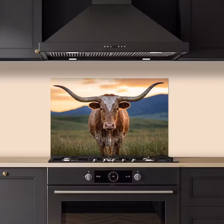 Longhorn - Landschap - Zonsondergang keuken achterwand spatscherm klein -sfeer1