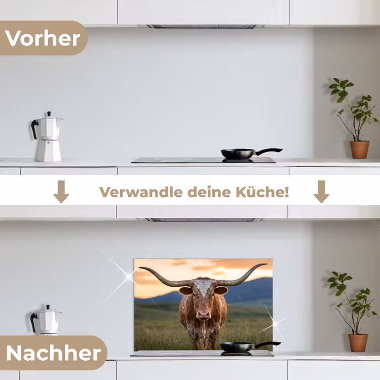 Longhorn - Landschap - Zonsondergang keuken achterwand spatscherm klein -voor_na_DE