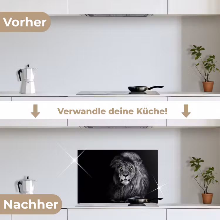 Leeuw - Ogen - Oranje - Zwart wit - Dieren - Portret keuken achterwand spatscherm klein -voor_na_DE