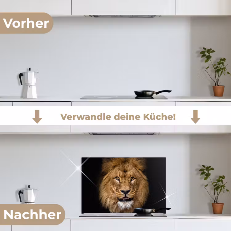 Leeuw - Portret - Zwart - Dieren keuken achterwand spatscherm klein -voor_na_DE