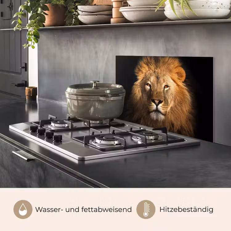 Leeuw - Dieren - Zwart - Licht - Bruin - Portret keuken achterwand spatscherm klein -usp_DE