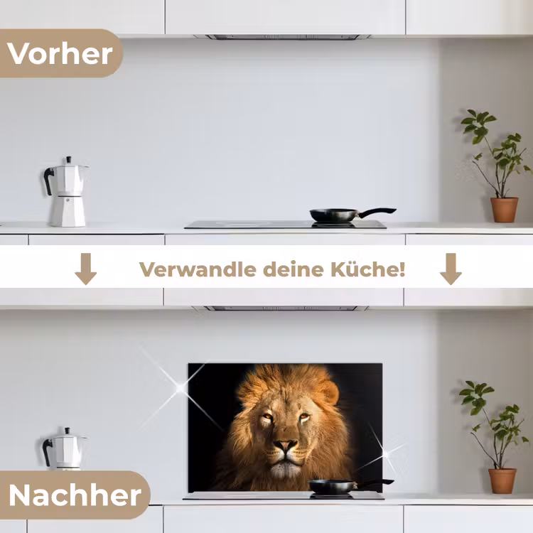 Leeuw - Dieren - Zwart - Licht - Bruin - Portret keuken achterwand spatscherm klein -voor_na_DE