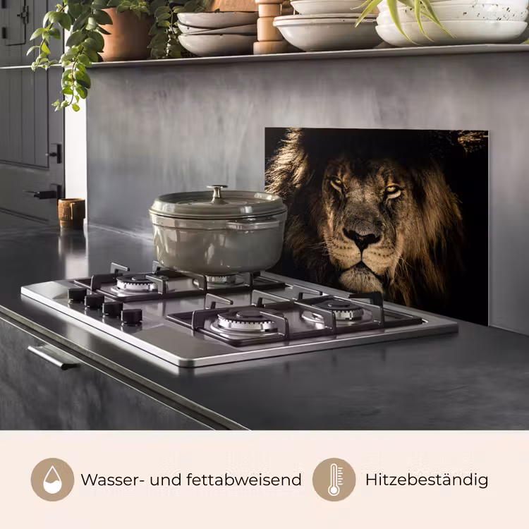 Leeuw - Dieren - Zwart - Portret keuken achterwand spatscherm klein -usp_DE