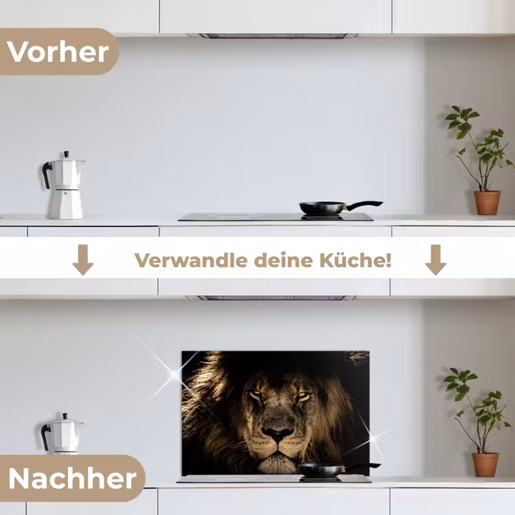 Leeuw - Dieren - Zwart - Portret keuken achterwand spatscherm klein -voor_na_DE