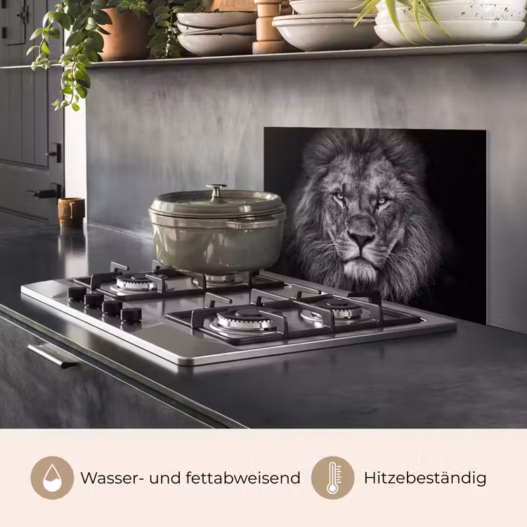 Leeuw - Dieren - Zwart - Wit keuken achterwand spatscherm klein -usp_DE
