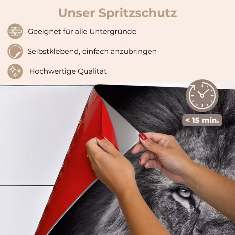 Leeuw - Dieren - Zwart - Wit keuken achterwand spatscherm klein -spatscherm_DE