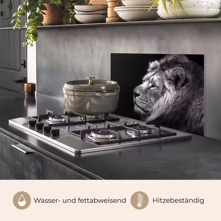 Leeuw tegen zwarte achtergrond in zwart-wit keuken achterwand spatscherm klein -usp_DE