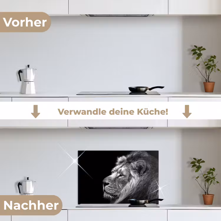 Leeuw tegen zwarte achtergrond in zwart-wit keuken achterwand spatscherm klein -voor_na_DE