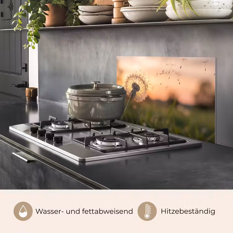Paardenbloem - Zonsondergang - Veld keuken achterwand spatscherm klein -usp_DE