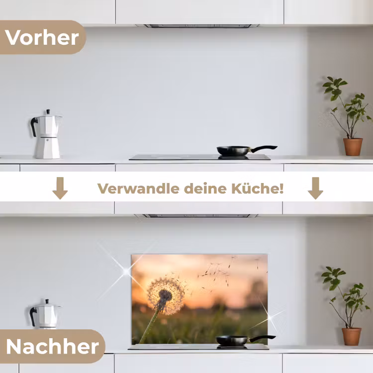 Paardenbloem - Zonsondergang - Veld keuken achterwand spatscherm klein -voor_na_DE