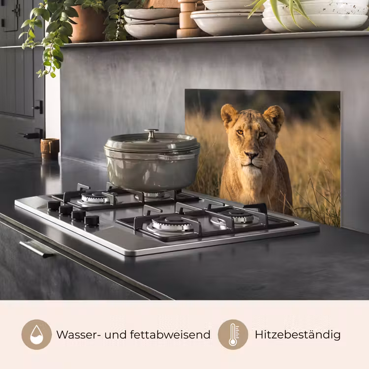 Leeuwin - Gras - Geel keuken achterwand spatscherm klein -usp_DE