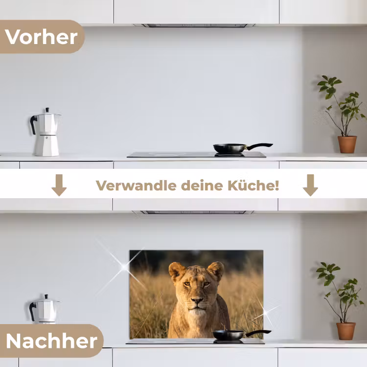 Leeuwin - Gras - Geel keuken achterwand spatscherm klein -voor_na_DE