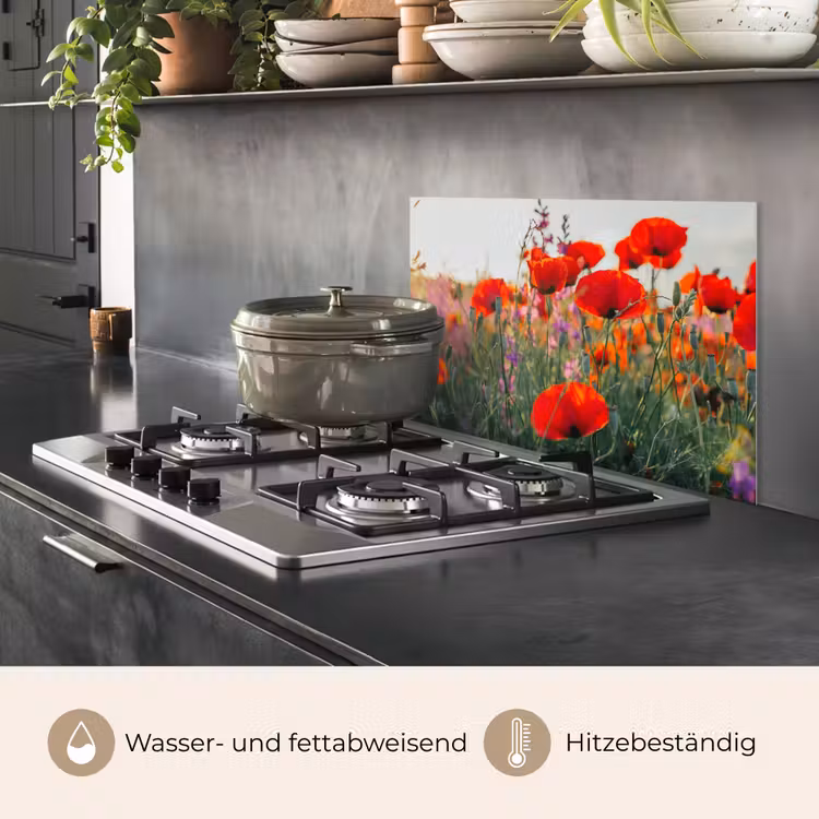 Klaproos - Bloemen - Rood - Paars - Weide keuken achterwand spatscherm klein -usp_DE