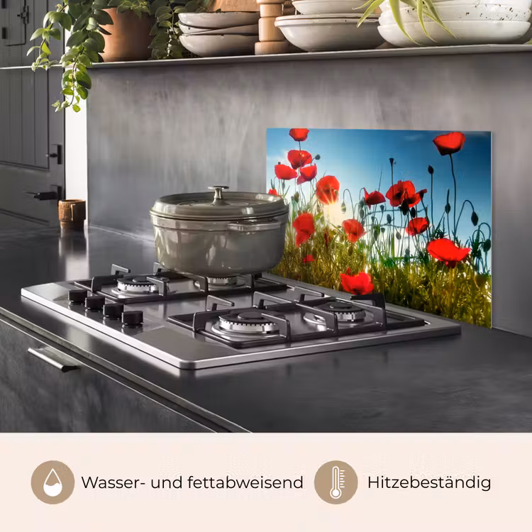 Klaprozen - Toscane - Zon - Rood - Blauw keuken achterwand spatscherm klein -usp_DE