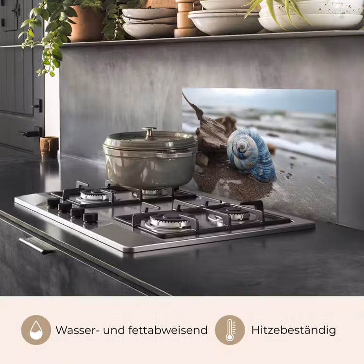 Schelp - Strand - Blauw - Zee keuken achterwand spatscherm klein -usp_DE