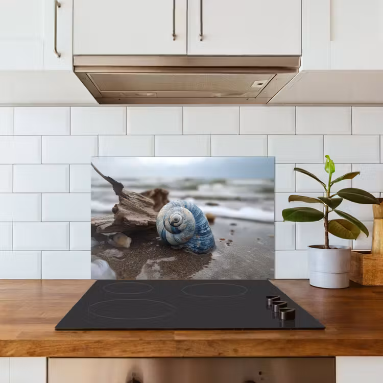 Schelp - Strand - Blauw - Zee keuken achterwand spatscherm klein -sfeer2