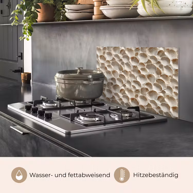 Schelpen - Waaiervorm - Wit keuken achterwand spatscherm klein 900 -usp_DE