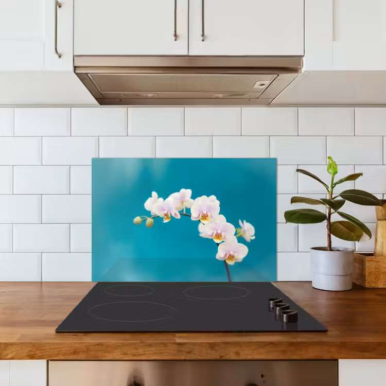 Orchidee - Bloemen - Plant - Wit - Paars keuken achterwand spatscherm klein -sfeer2