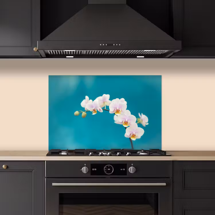 Orchidee - Bloemen - Plant - Wit - Paars keuken achterwand spatscherm klein -sfeer1