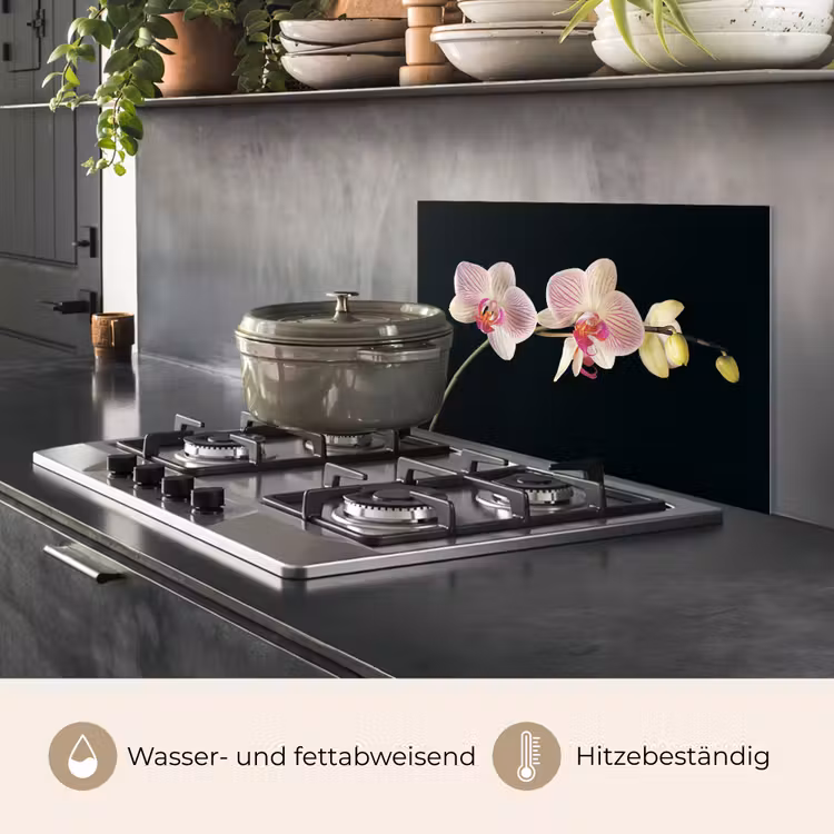 Orchidee - Bloemen - Zwart - Roze - Knoppen keuken achterwand spatscherm klein -usp_DE