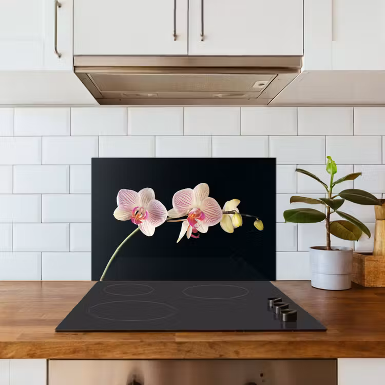 Orchidee - Bloemen - Zwart - Roze - Knoppen keuken achterwand spatscherm klein -sfeer2