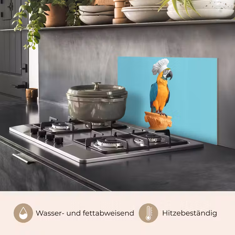 Papegaai - Koksmuts - Grappig - Vogel keuken achterwand spatscherm klein -usp_DE